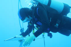 An ASOR fellow takes notes during a marine excavation.